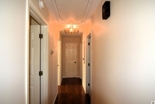 corridor with dark wood-type flooring