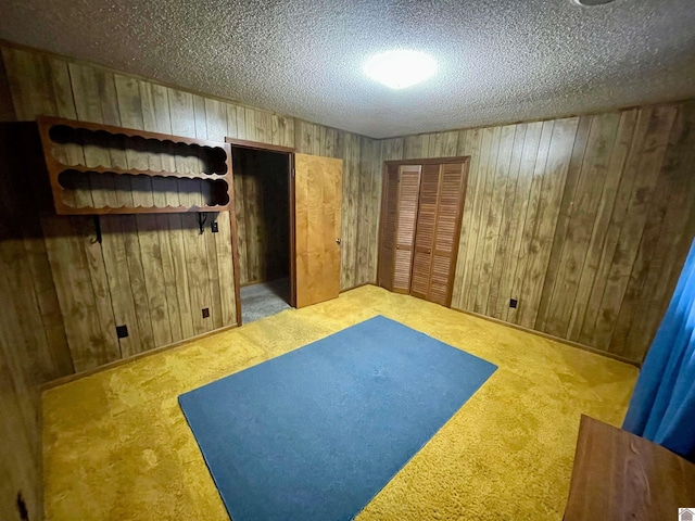 3480 Radio Rd, Almo, KY 42020 - exercise room with wood walls, carpet floors, and a textured ceiling