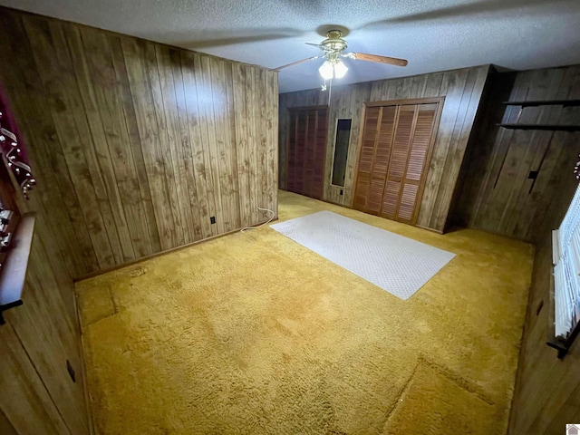 3480 Radio Rd, Almo, KY 42020 - interior space with a textured ceiling, ceiling fan, light carpet, and wooden walls