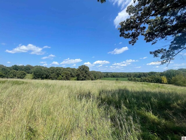 3480 Radio Rd, Almo, KY 42020 - view of nature with a rural view