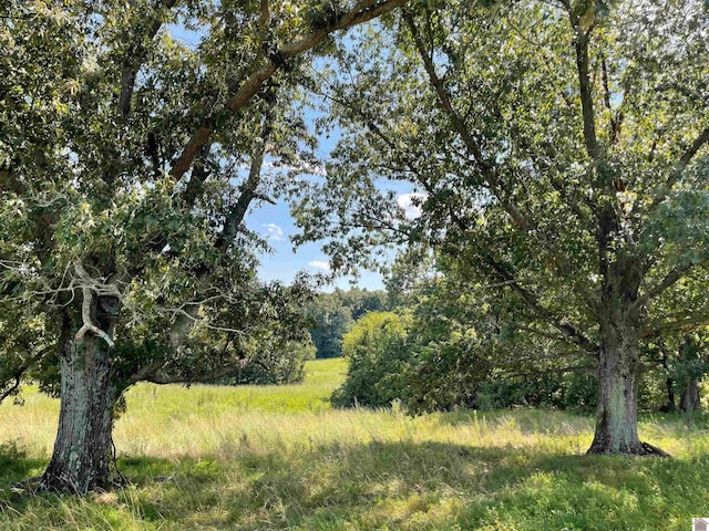 3480 Radio Rd, Almo, KY 42020 - view of landscape