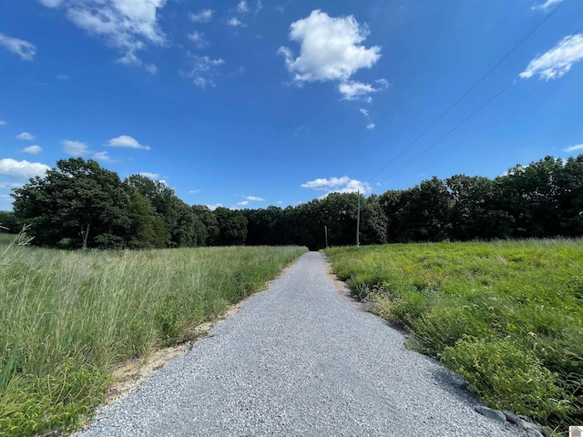 3480 Radio Rd, Almo, KY 42020 - view of road