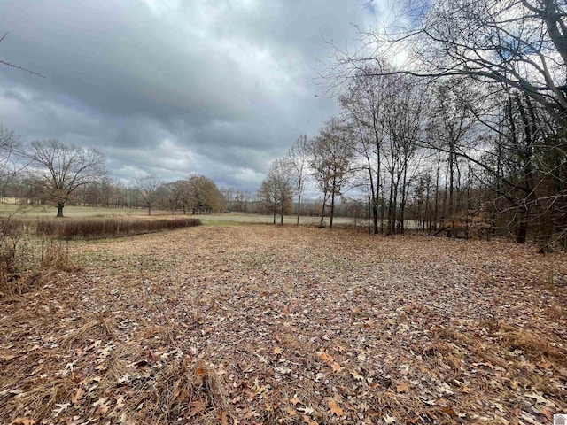3480 Radio Rd, Almo, KY 42020 - view of yard with a rural view