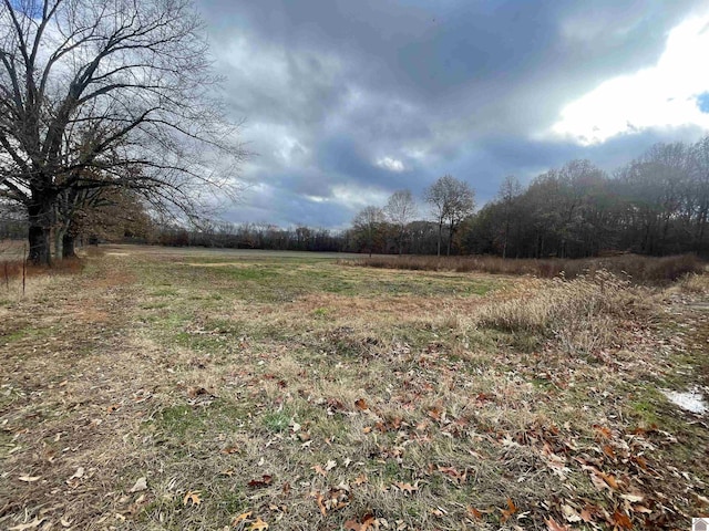 3480 Radio Rd, Almo, KY 42020 - view of yard featuring a rural view