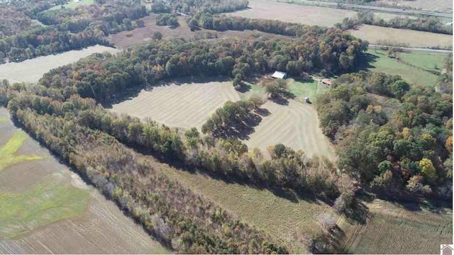 3480 Radio Rd, Almo, KY 42020 - drone / aerial view with a rural view