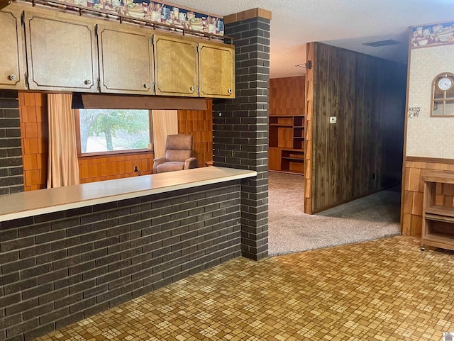 3480 Radio Rd, Almo, KY 42020 - kitchen featuring carpet flooring, wood walls, and a textured ceiling