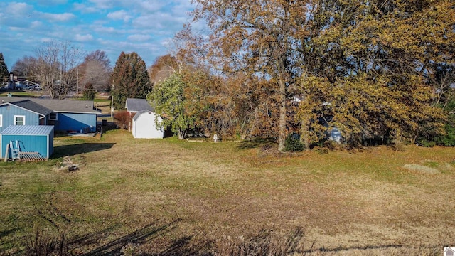 view of yard featuring a shed