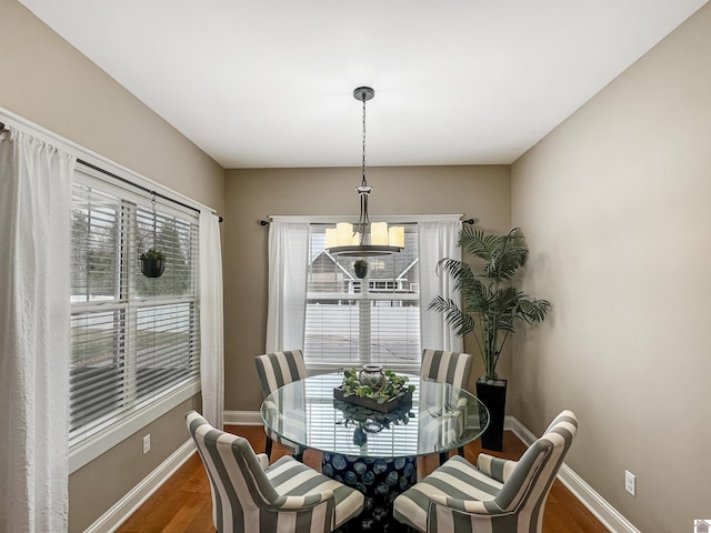 dining space with dark hardwood / wood-style flooring and a wealth of natural light