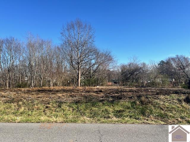 6354 State Route 1283, Water Valley KY, 42085 land for sale