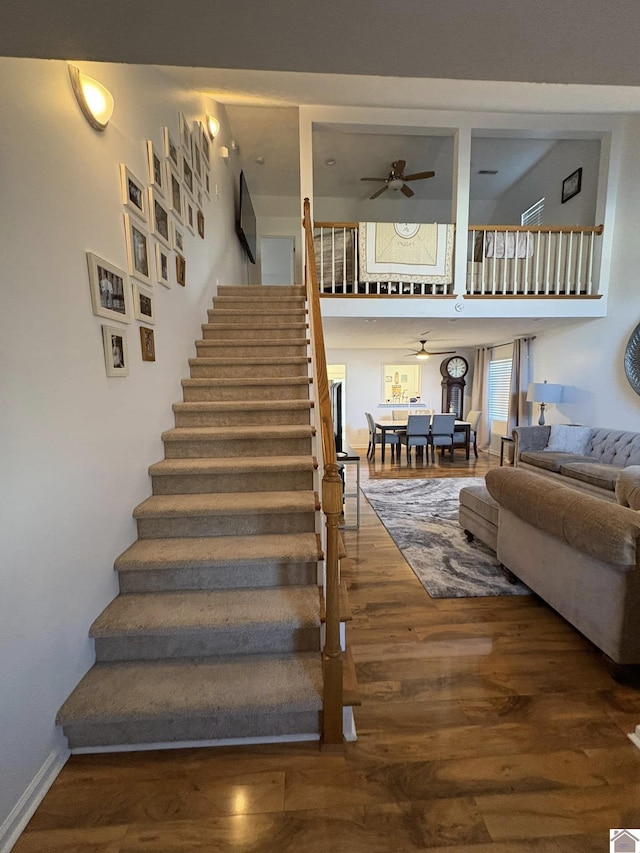 stairs featuring ceiling fan and hardwood / wood-style floors