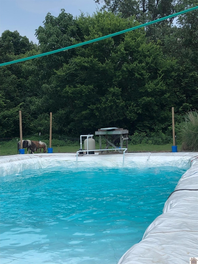 view of swimming pool