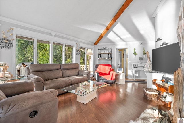 living room with lofted ceiling with beams, a healthy amount of sunlight, and dark hardwood / wood-style flooring