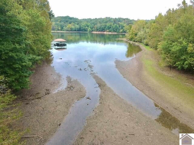 000 Morning Glory Dr, Cadiz, KY 42211