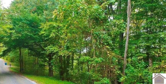 000 Morning Glory Dr, Cadiz, KY 42211