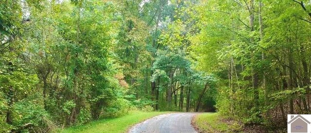 000 Morning Glory Dr, Cadiz, KY 42211