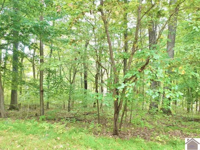 000 Morning Glory Dr, Cadiz, KY 42211