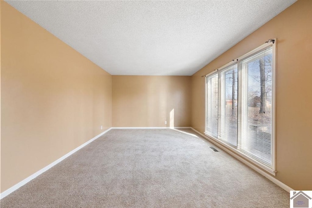 spare room with carpet flooring and a textured ceiling