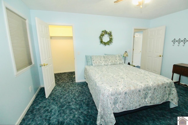 bedroom with dark colored carpet, a spacious closet, a closet, and ceiling fan