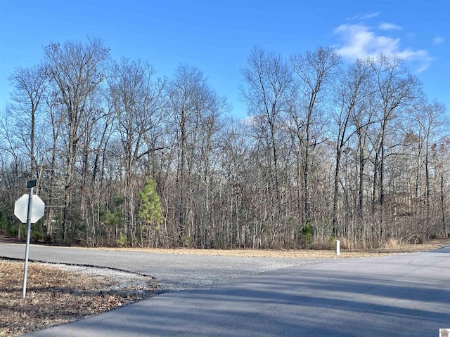 Listing photo 3 for LOT95 Deepwood Dr, Murray KY 42071