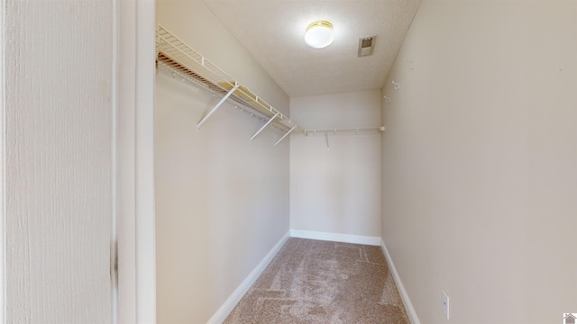 spacious closet featuring carpet flooring