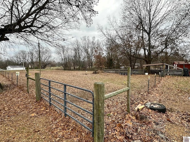 view of yard with a rural view