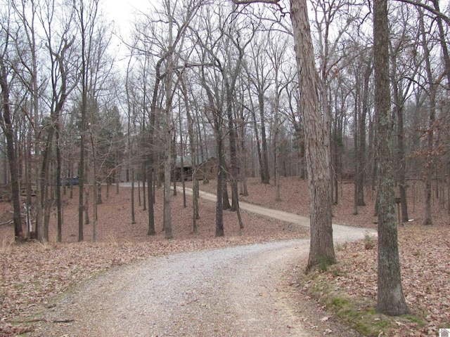 view of road