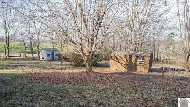 view of yard with a storage unit