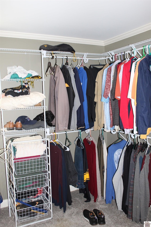 spacious closet featuring carpet