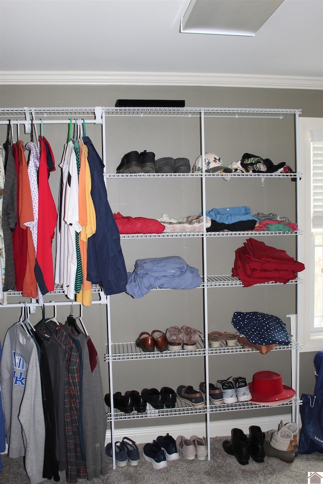view of closet