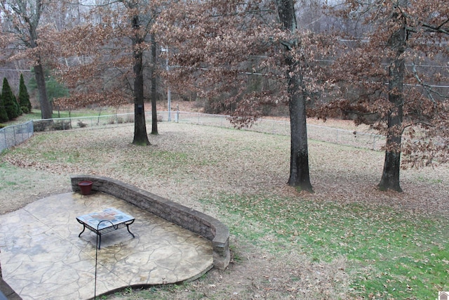 view of yard with a patio