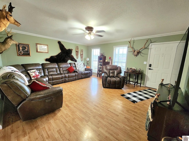 living room with crown molding, ceiling fan, light hardwood / wood-style floors, and a textured ceiling