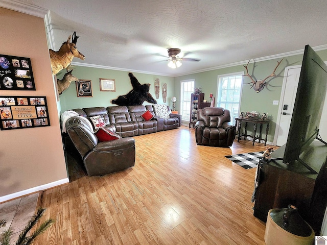 living room with a textured ceiling, light hardwood / wood-style flooring, ceiling fan, and ornamental molding