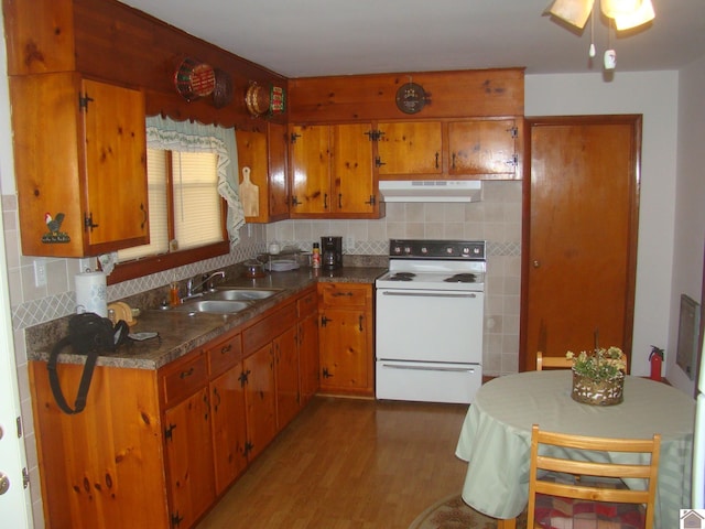 kitchen with hardwood / wood-style floors, sink, tasteful backsplash, and electric stove