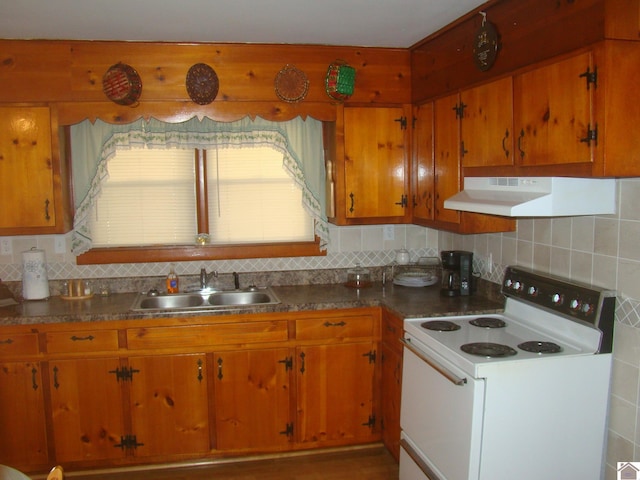 kitchen featuring decorative backsplash, sink, and electric stove