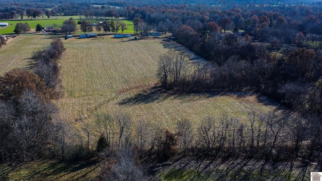 bird's eye view with a rural view