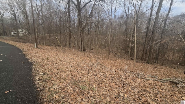 LOT44 Cherokee Loop, Eddyville KY, 42038 land for sale