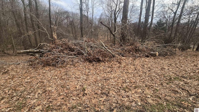 Listing photo 2 for LOT44 Cherokee Loop, Eddyville KY 42038