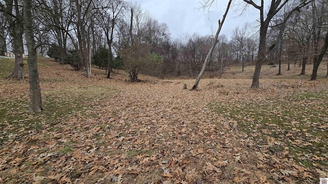 Listing photo 3 for LOT44 Cherokee Loop, Eddyville KY 42038