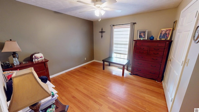 interior space featuring ceiling fan and wood-type flooring