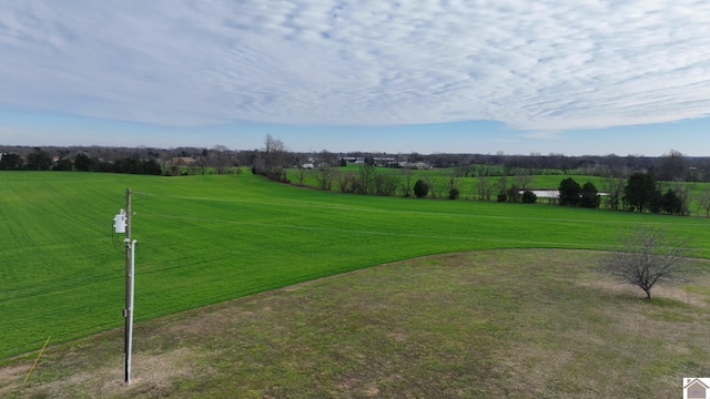 view of yard with a rural view