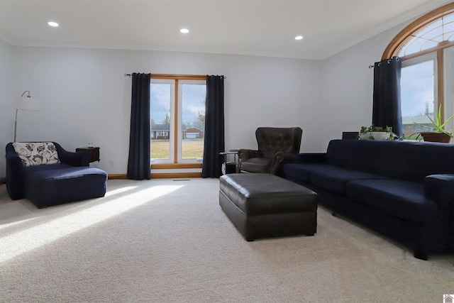 carpeted living room featuring crown molding