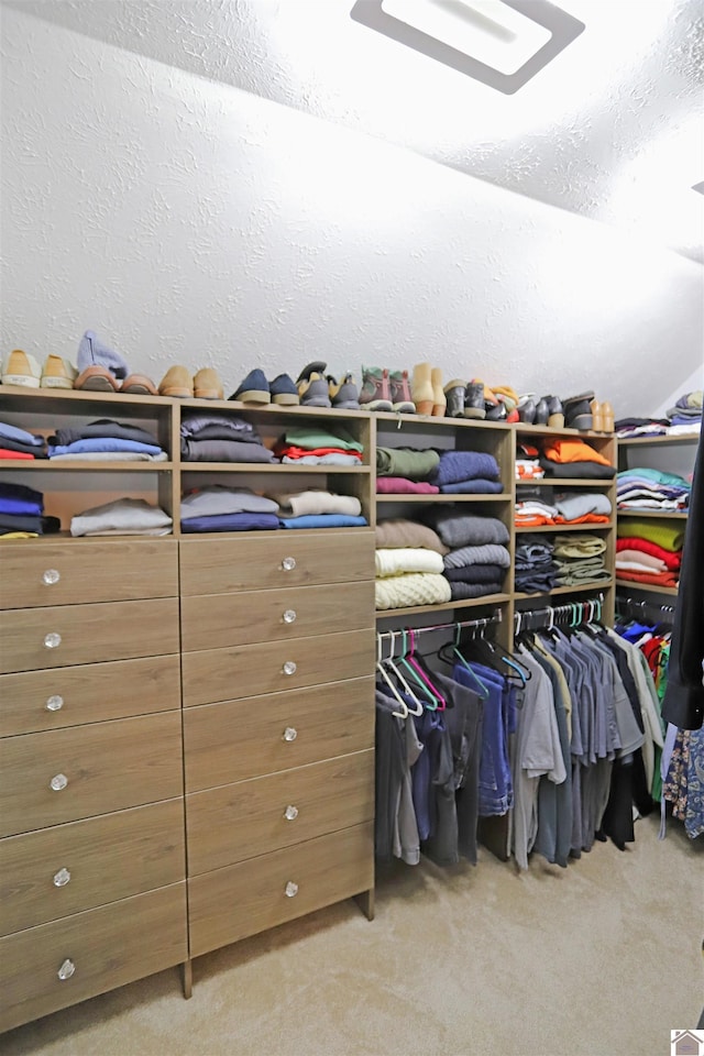 spacious closet featuring light colored carpet