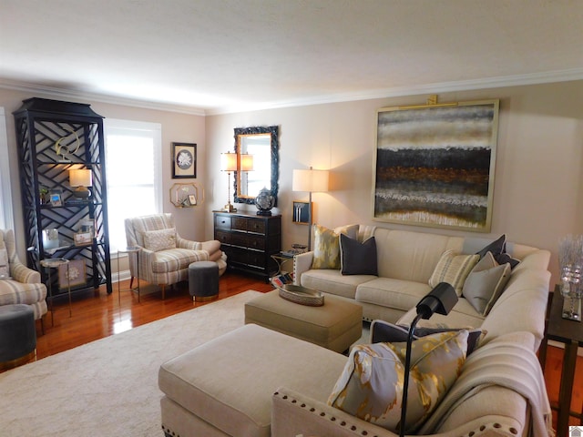 living room with crown molding and wood-type flooring