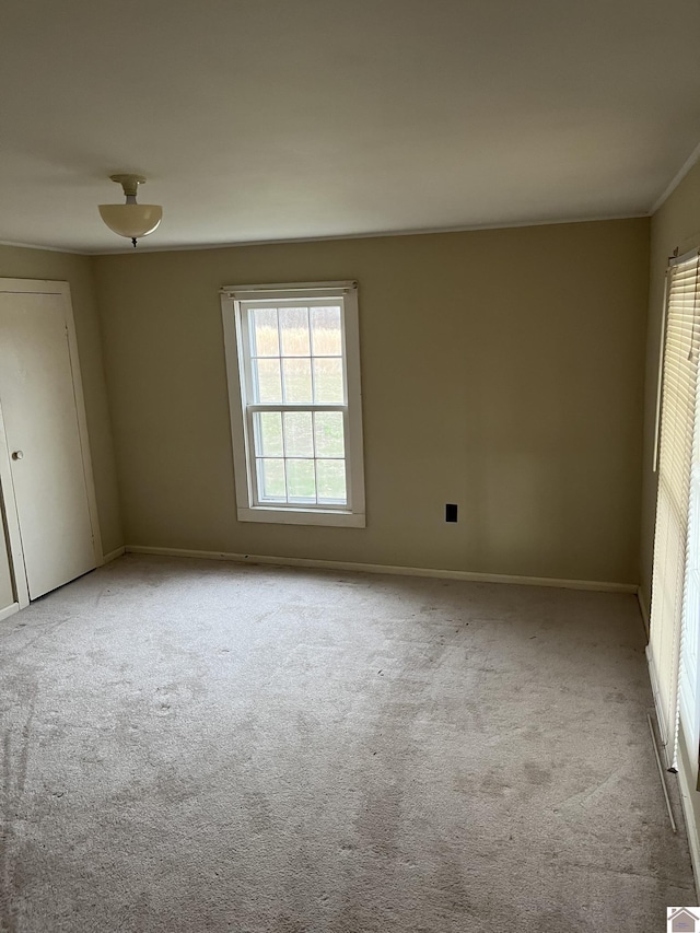 unfurnished room with light carpet