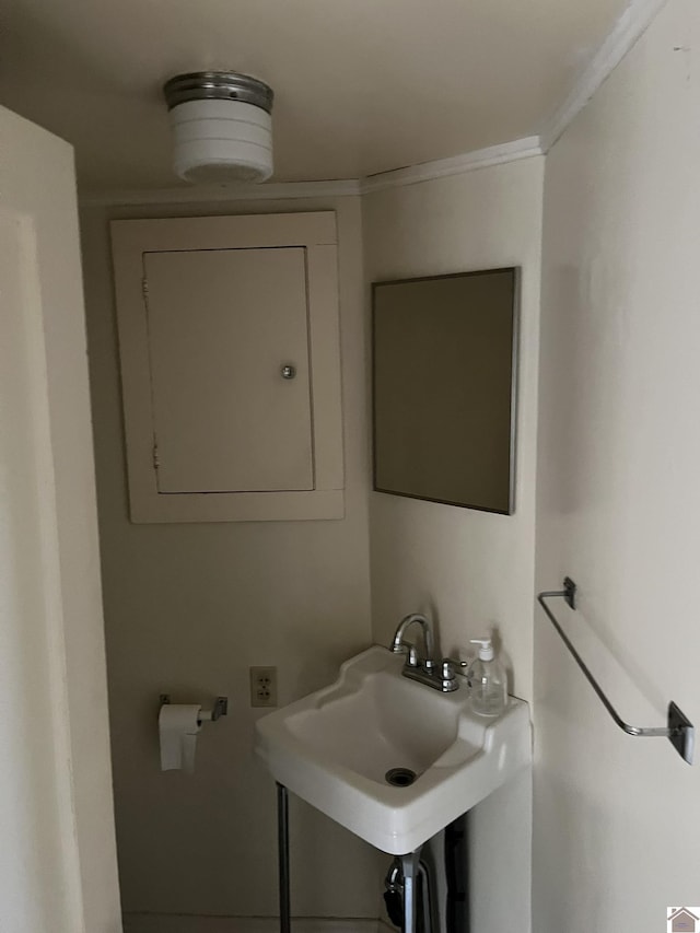 bathroom with crown molding and sink