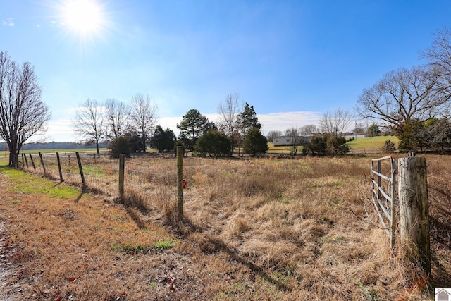 view of yard with a rural view