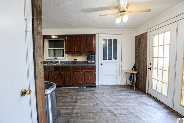 kitchen featuring sink, ceiling fan, dark hardwood / wood-style floors, a textured ceiling, and dark brown cabinets