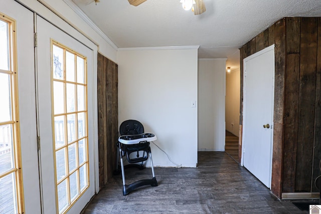 interior space featuring a wealth of natural light, dark wood-type flooring, a textured ceiling, and ornamental molding