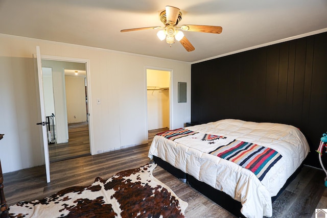 bedroom featuring ceiling fan, a spacious closet, dark hardwood / wood-style floors, a closet, and ornamental molding