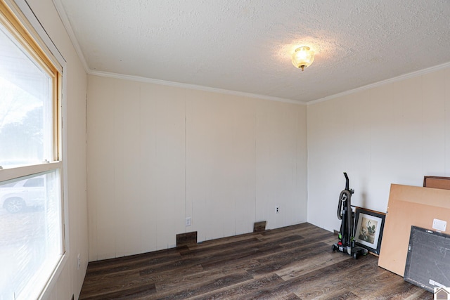 interior space with dark hardwood / wood-style floors, a healthy amount of sunlight, a textured ceiling, and ornamental molding